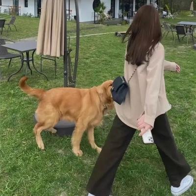 迷雾中的孩子